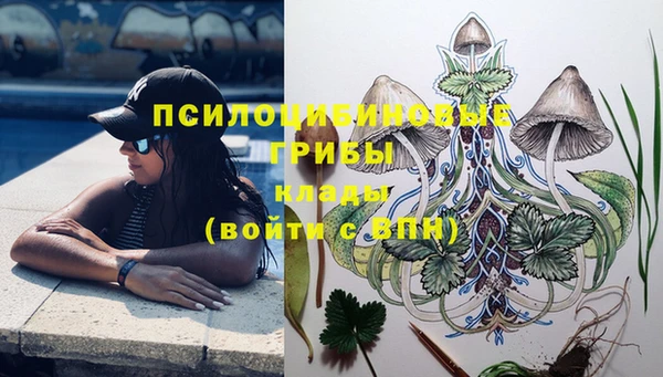 экстази Богданович