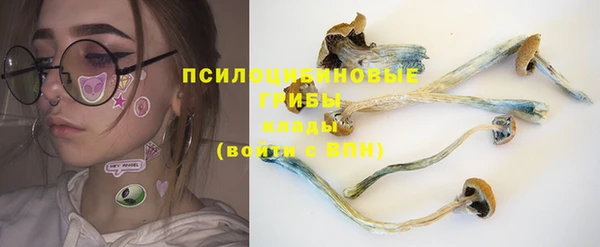 экстази Богданович