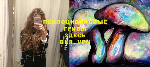 экстази Богданович