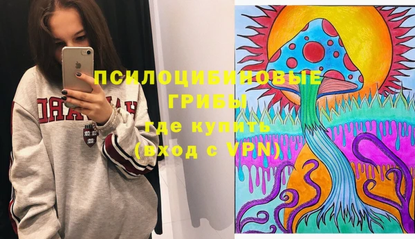 дживик Белокуриха